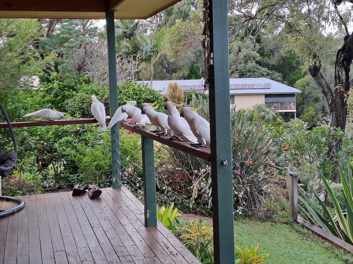 Due South Waterfront Home Macleay Island Australia